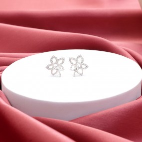 Silver Star Zircon Earrings