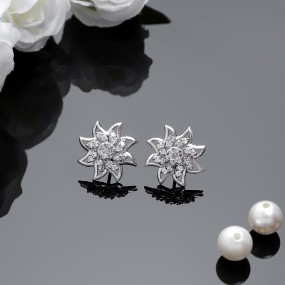 Silver Star Zircon Earrings